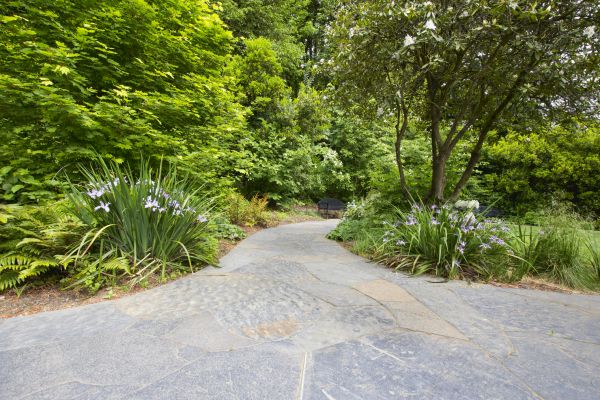Stone Hardscape Service in Lake Stevens